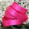 Order  10mm Satin Ribbon - Shocking Pink